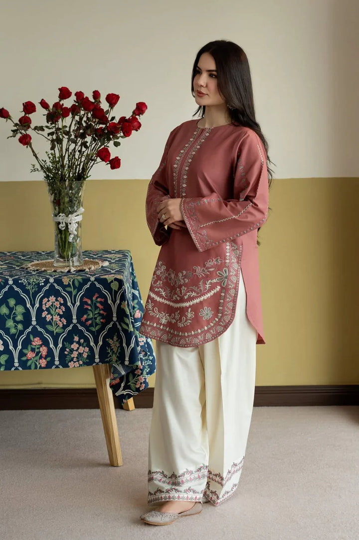 KASHMIRI 2 PC SUIT