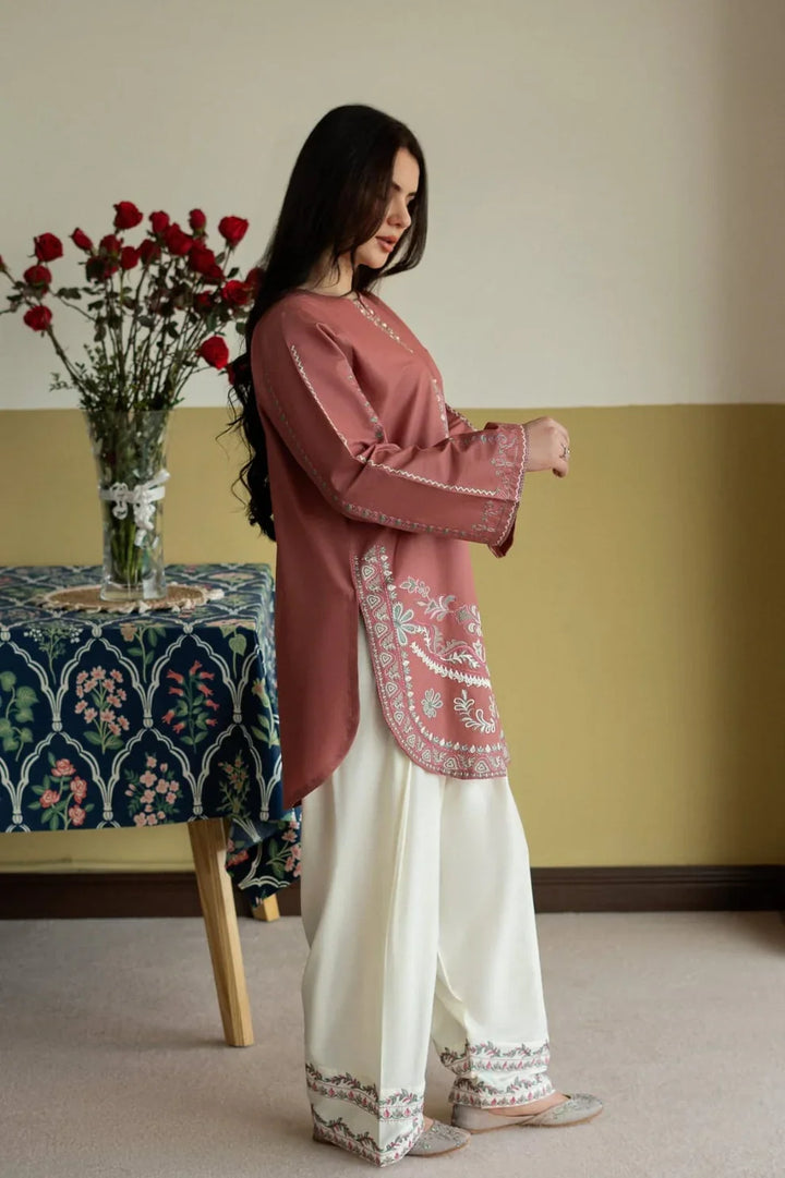 KASHMIRI 2 PC SUIT