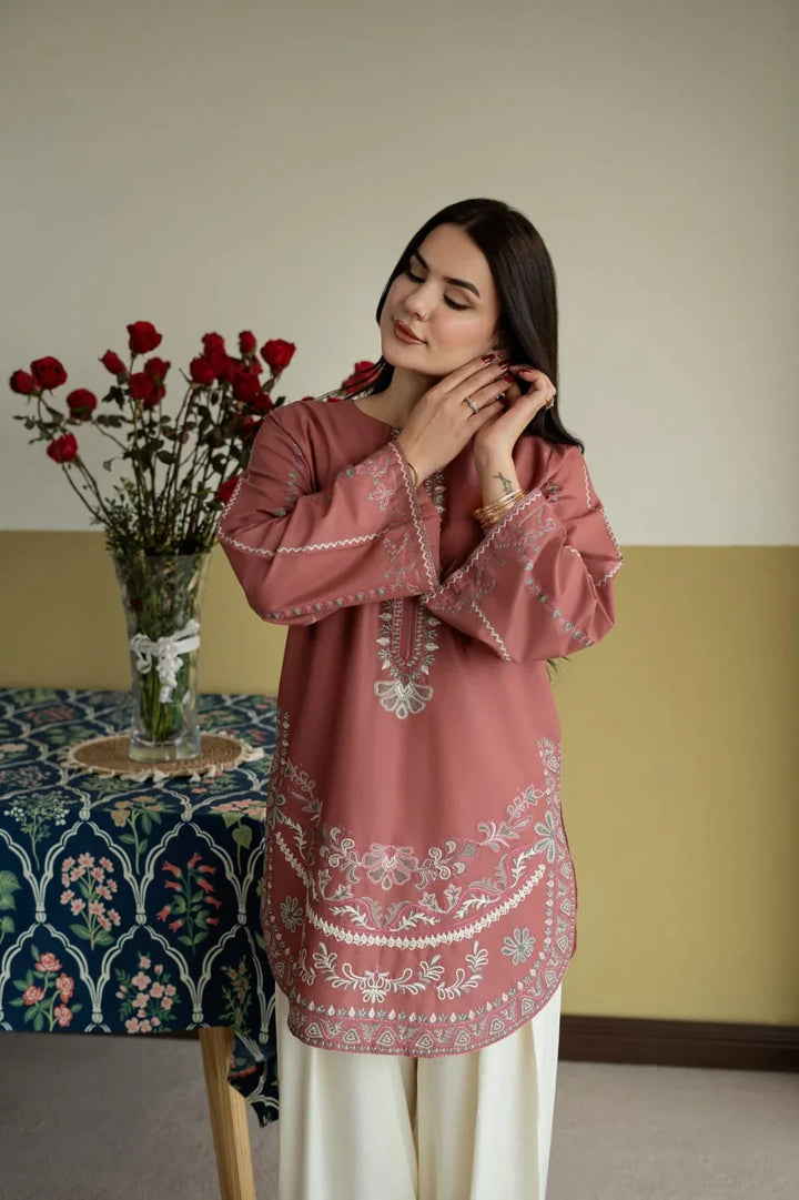 KASHMIRI 2 PC SUIT