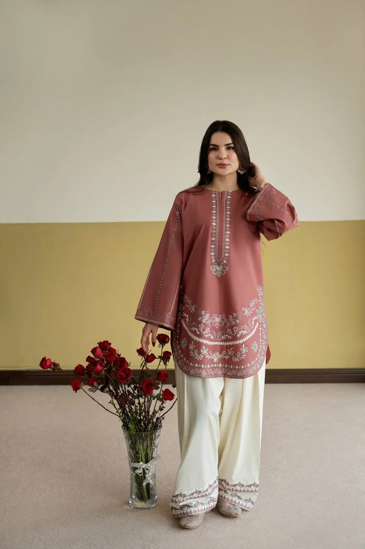 KASHMIRI 2 PC SUIT